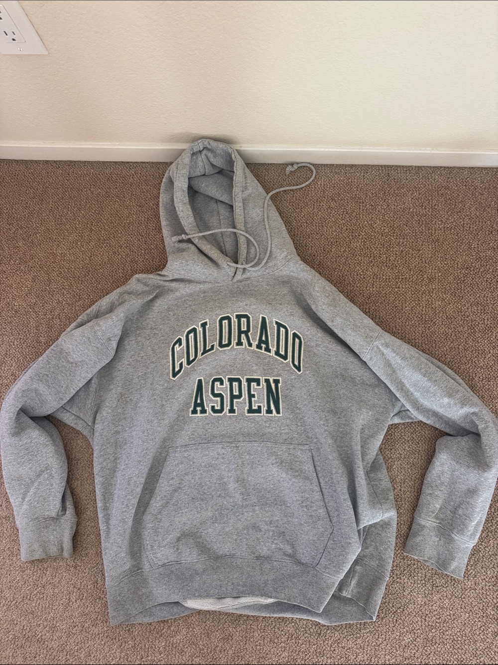 Brandy Melville Colorado Aspen Grey Hoodie with Green Lettering